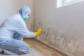 Professional Mold Inspection in Bellevue, OH