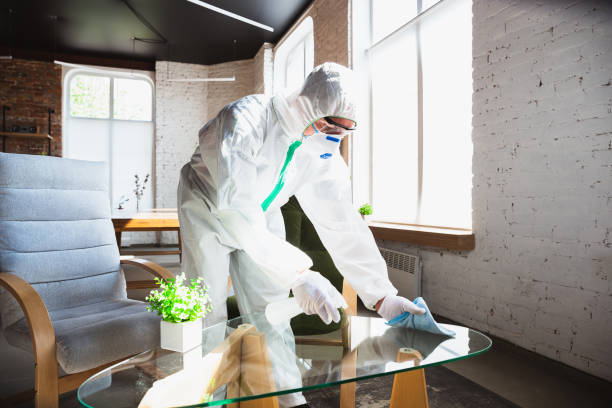 Why You Should Choose Our Mold Remediation Services in Bellevue, OH